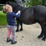 Ponyclub Maria-Schacht