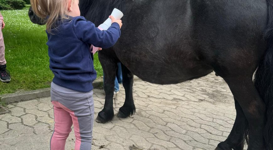 Ponyclub Maria-Schacht