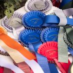 Dressurturnier 29. und 30. Mai 2026